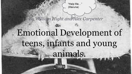 Emotional Development of teens, infants and young animals. By William Hight and Alex Carpenter “Help Me…” (Maruna)
