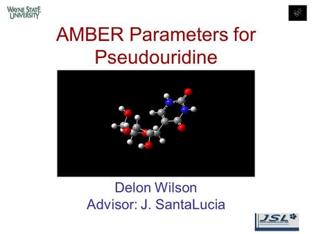 AMBER Parameters for Pseudouridine Delon Wilson Advisor: J. SantaLucia.