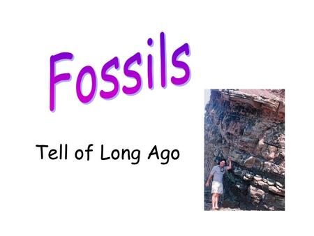 Tell of Long Ago. Fossils are animals or plants that lived a very long time ago. After they died, they turned to stone.