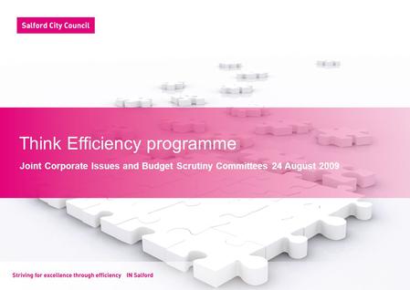 Think Efficiency programme Joint Corporate Issues and Budget Scrutiny Committees 24 August 2009.