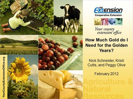 How Much Gold do I Need for the Golden Years? Nick Schneider,Kristi Cutts, and Peggy Olive February 2012.