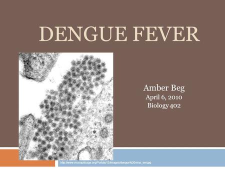 DENGUE FEVER Amber Beg April 6, 2010 Biology 402