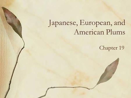 Japanese, European, and American Plums Chapter 19.