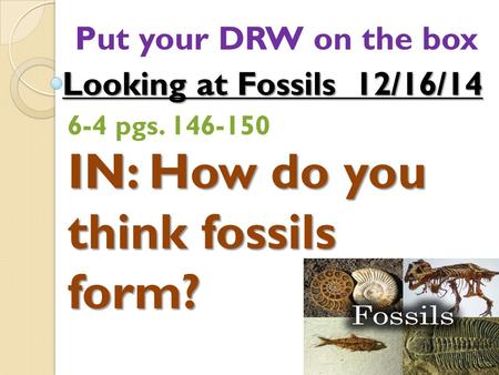 IN: How do you think fossils form?