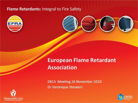 European Flame Retardant Association EBCA Meeting 26 November 2010 Dr Veronique Steukers.