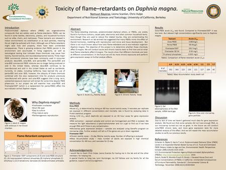 Toxicity of flame–retardants on Daphnia magna. Namuun Bayaraa, Leona Scanlan, Chris Vulpe Department of Nutritional Sciences and Toxicology; University.