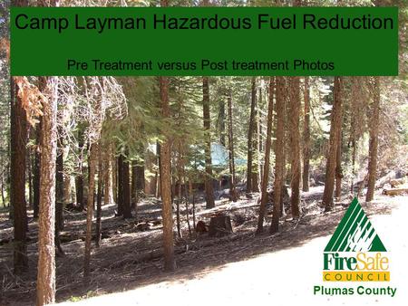 Camp Layman Hazardous Fuel Reduction Pre Treatment versus Post treatment Photos Plumas County.