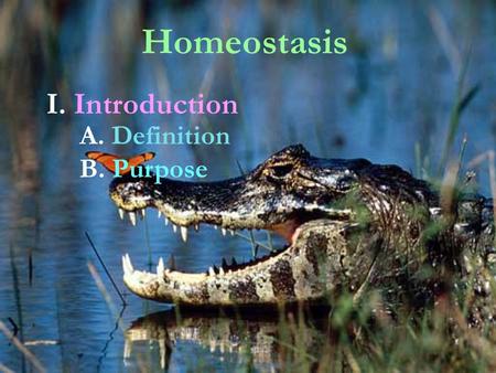 Homeostasis I. Introduction A. Definition B. Purpose.