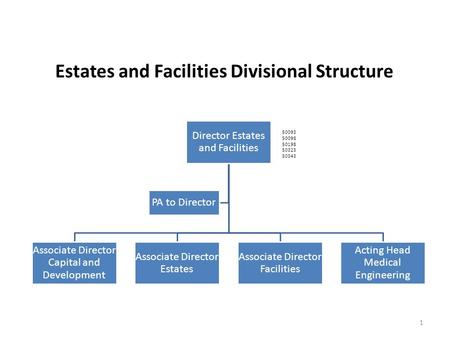 Director Estates and Facilities Associate Director Capital and Development Associate Director Estates Associate Director Facilities Acting Head Medical.