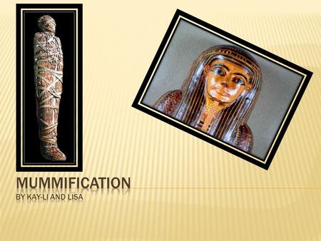  Mummies are the preserved bodies of people or animals. The word was first used to describe the bandaged bodies of Ancient Egyptians. But any dead.