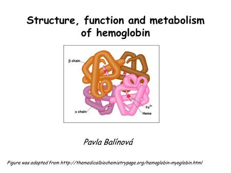 Structure, function and metabolism of hemoglobin