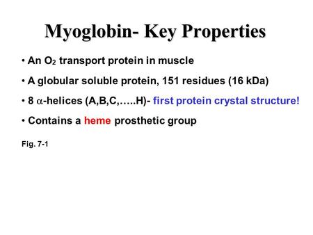 Myoglobin- Key Properties