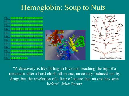 Hemoglobin: Soup to Nuts A discovery is like falling in love and reaching the top of a mountain after a hard climb all in one, an ecstasy induced not.