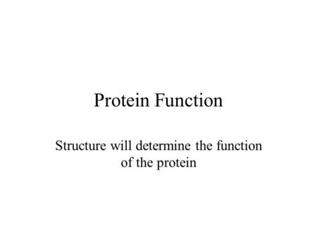 Protein Function Structure will determine the function of the protein.