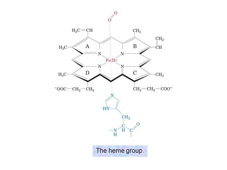 The heme group..