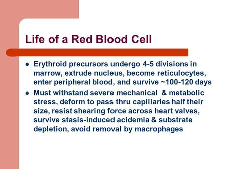 Life of a Red Blood Cell Erythroid precursors undergo 4-5 divisions in marrow, extrude nucleus, become reticulocytes, enter peripheral blood, and survive.