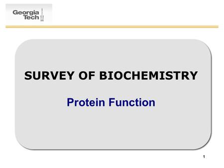 1 SURVEY OF BIOCHEMISTRY Protein Function. 2 PRS In a protein, the most conformationally restricted amino acid is_____ and the least conformationally.