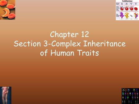 Chapter 12 Section 3-Complex Inheritance of Human Traits.