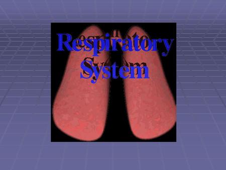 Respiratory System Every animal needs a system to take in oxygen from the environment Why is oxygen needed? Oxygen is required for cell respiration Oxygen.