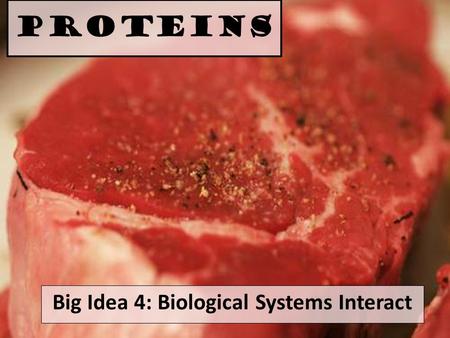 Proteins Big Idea 4: Biological Systems Interact.