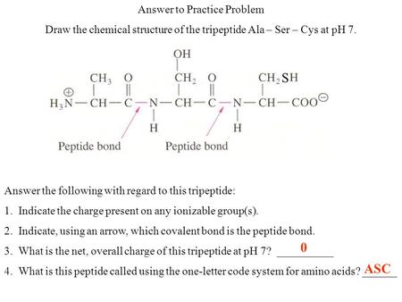 S ASC Answer to Practice Problem