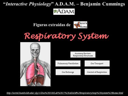 “Interactive Physiology” A.D.A.M. – Benjamin Cummings.