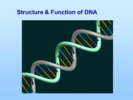 Structure & Function of DNA. DNA and RNA are nucleic acids that consist of long chains of nucleotides The nucleotides have three parts; 1.Phosphate 2.Nitrogen.