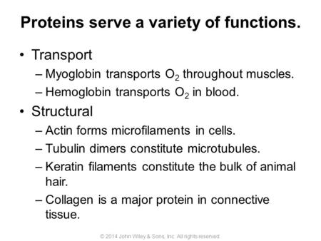 Proteins serve a variety of functions. Transport –Myoglobin transports O 2 throughout muscles. –Hemoglobin transports O 2 in blood. Structural –Actin forms.