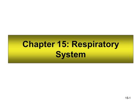 Chapter 15: Respiratory System