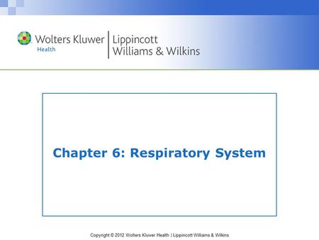 Chapter 6: Respiratory System