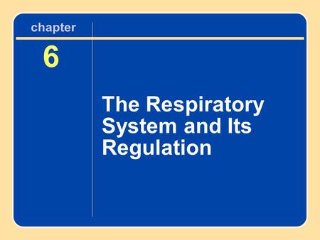 Chapter 6 The Respiratory System and Its Regulation.