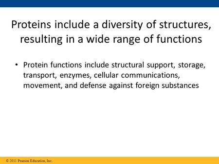 Proteins include a diversity of structures, resulting in a wide range of functions Protein functions include structural support, storage, transport, enzymes,