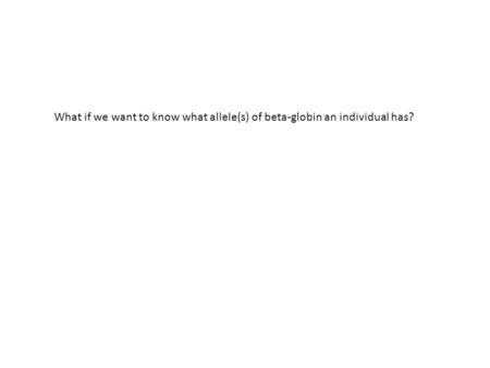 What if we want to know what allele(s) of beta-globin an individual has?