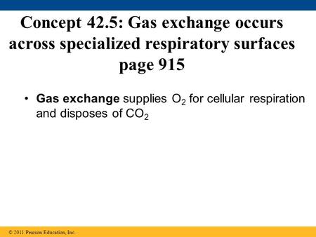 Gas exchange supplies O2 for cellular respiration and disposes of CO2