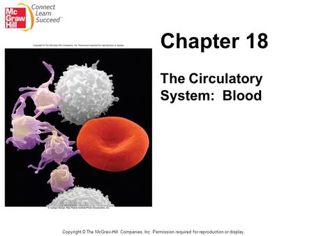 Copyright © The McGraw-Hill Companies, Inc. Permission required for reproduction or display. Chapter 18 The Circulatory System: Blood.