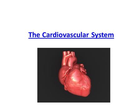 The Cardiovascular System. Q - How many liters of blood does the adult human body contain? A.5 liters B.10 liters C.15 liters.