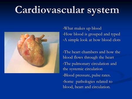 Cardiovascular system What makes up blood What makes up blood How blood is grouped and typed How blood is grouped and typed A simple look at how blood.