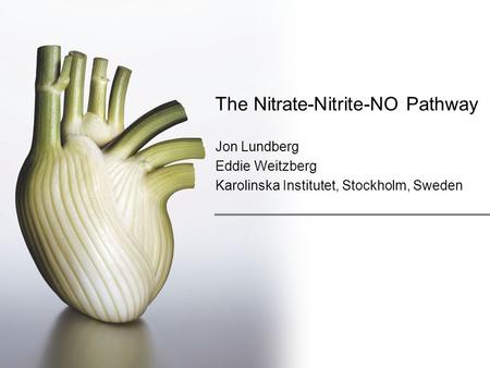 The Nitrate-Nitrite-NO Pathway Jon Lundberg Eddie Weitzberg Karolinska Institutet, Stockholm, Sweden.