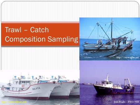Trawl – Catch Composition Sampling  Joël Prado - FAO/FIIT