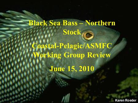 Black Sea Bass – Northern Stock Coastal-Pelagic/ASMFC Working Group Review June 15, 2010.