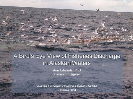 A Bird’s Eye View of Fisheries Discharge in Alaskan Waters Ann Edwards, PhD Shannon Fitzgerald Alaska Fisheries Science Center – NOAA Seattle, WA.