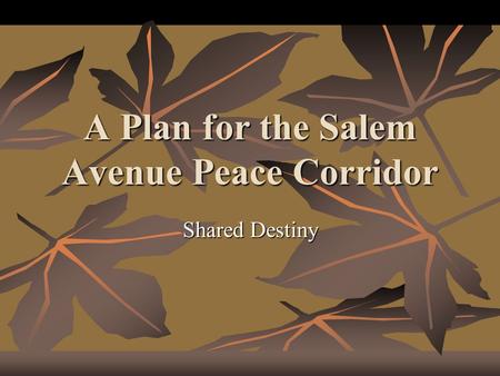 A Plan for the Salem Avenue Peace Corridor Shared Destiny.