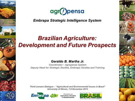 Third Lemann Dialogue – “Agricultural and Environmental Issues in Brazil” University of Illinois, 7-8 November 2013 Embrapa Strategic Intelligence System.