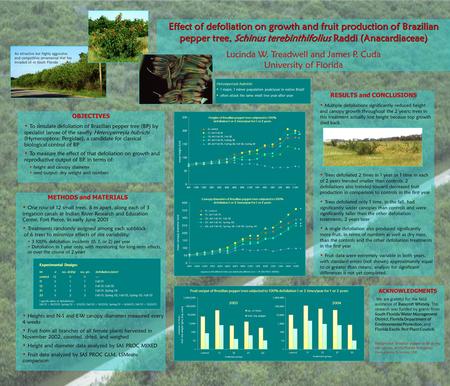 Effect of defoliation on growth and fruit production of Brazilian pepper tree, Schinus terebinthifolius Raddi (Anacardiaceae) Lucinda W. Treadwell and.