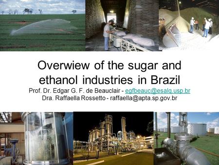 Overwiew of the sugar and ethanol industries in Brazil Prof. Dr. Edgar G. F. de Beauclair - Dra. Raffaella Rossetto -
