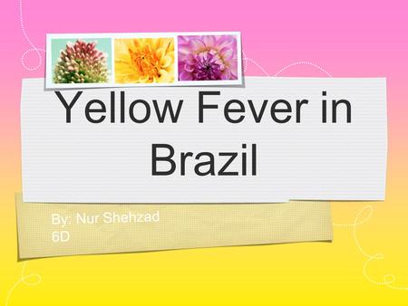 By: Nur Shehzad 6D Yellow Fever in Brazil. Introduction This presentation will persuade the United Nations (UN) to give money to Brazil so that they combat.