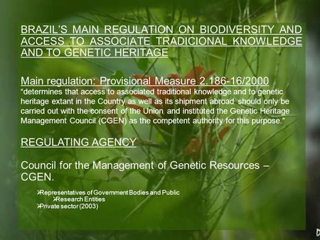 BRAZIL’S MAIN REGULATION ON BIODIVERSITY AND ACCESS TO ASSOCIATE TRADICIONAL KNOWLEDGE AND TO GENETIC HERITAGE Main regulation: Provisional Measure 2.186-16/2000.
