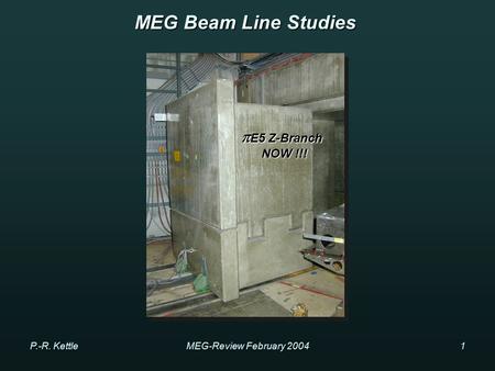 P.-R. KettleMEG-Review February 20041 MEG Beam Line Studies  E5 Z-Branch NOW !!! NOW !!!