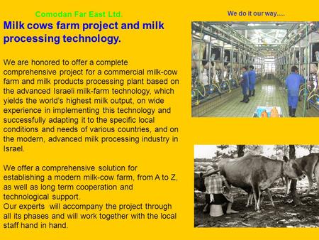 Comodan Far East Ltd. Milk cows farm project and milk processing technology. We are honored to offer a complete comprehensive project for a commercial.