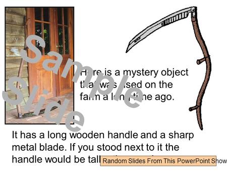 Here is a mystery object that was used on the farm a long time ago. It has a long wooden handle and a sharp metal blade. If you stood next to it the handle.
